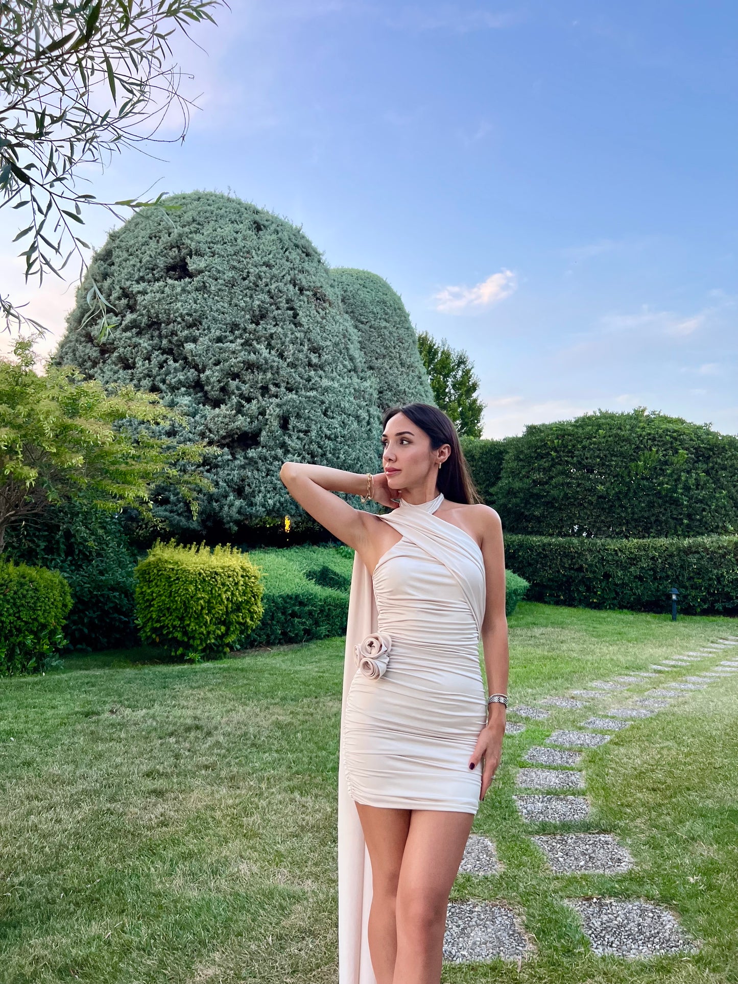 Ivy Bej Elbise