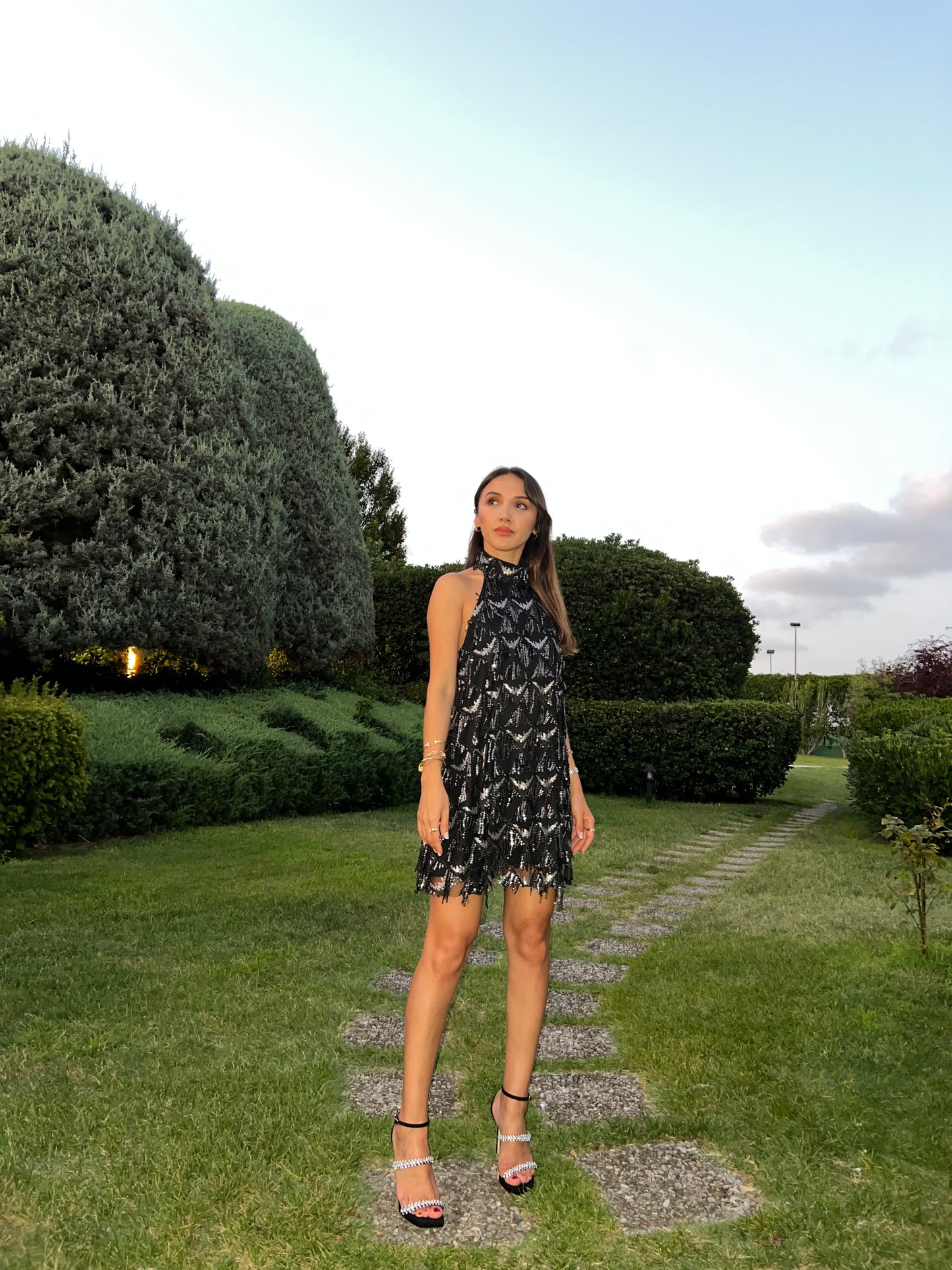 Eva Black&Silver Payetli Elbise