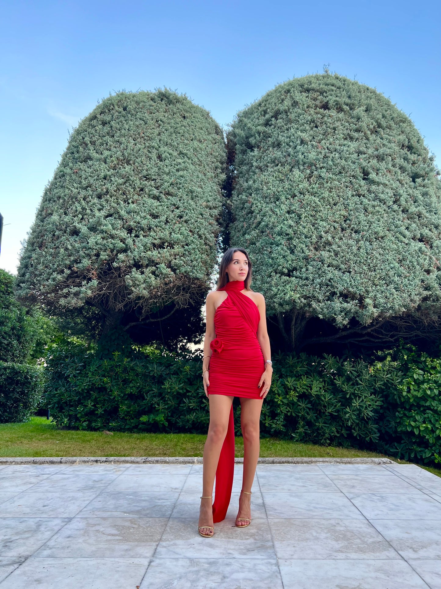 Ivy Kırmızı Elbise