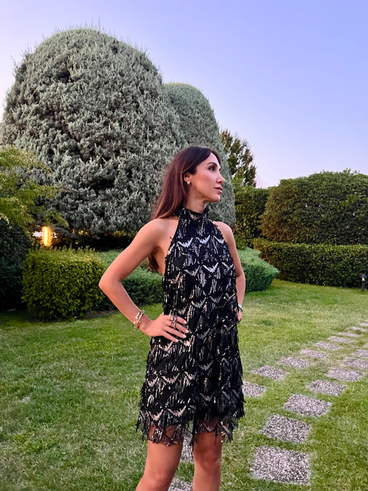 Eva Black&Silver Payetli Elbise