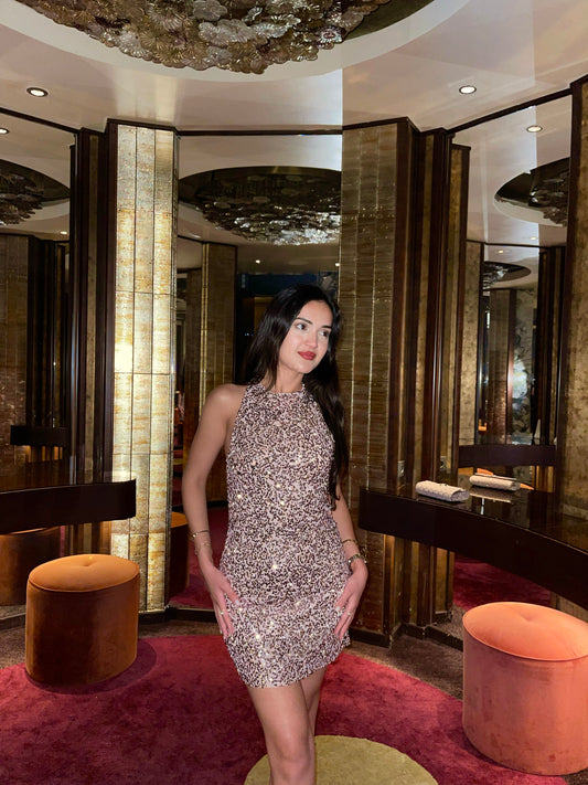 Jera Pink Payetli Elbise