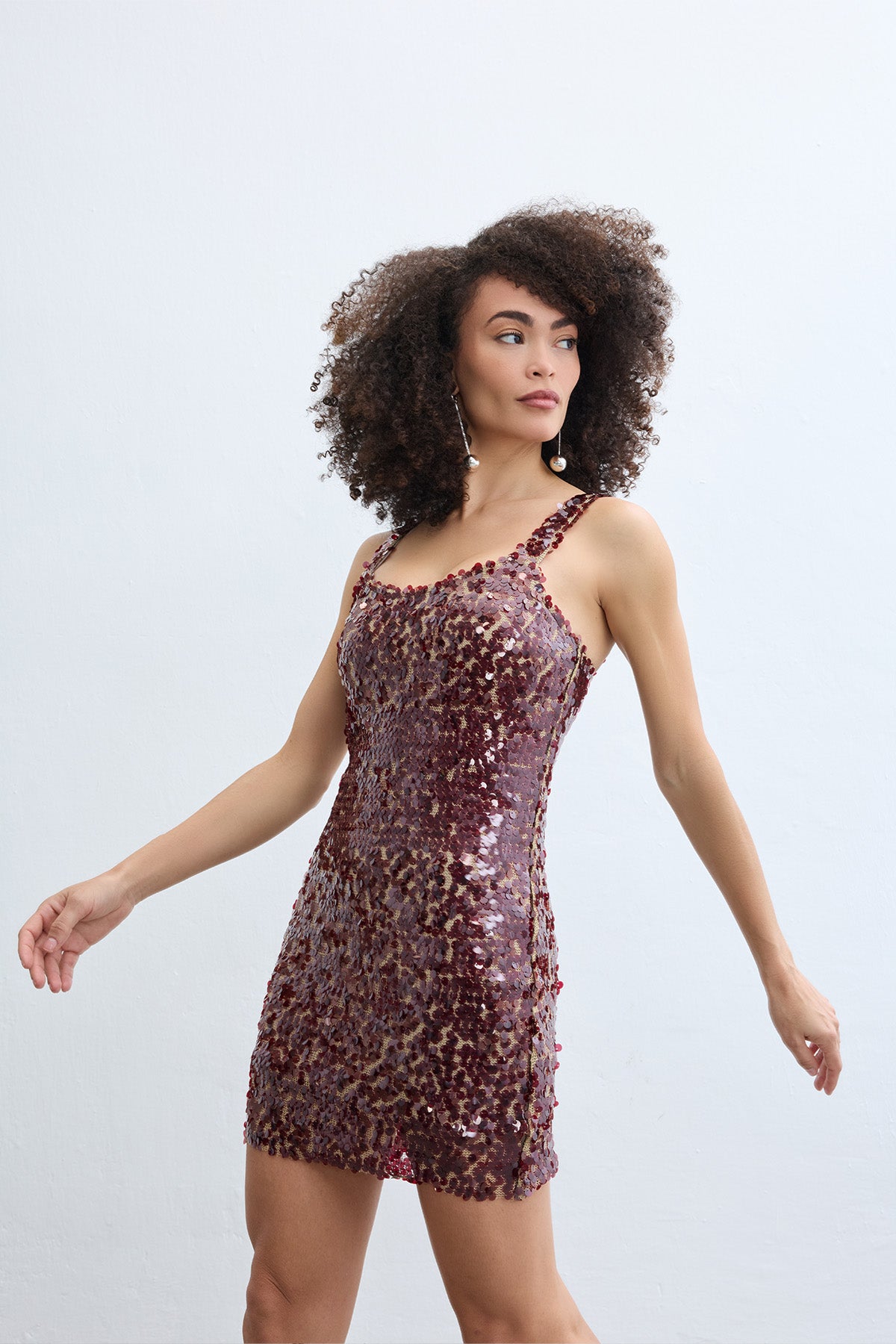 Elizzte Burgundy Dress