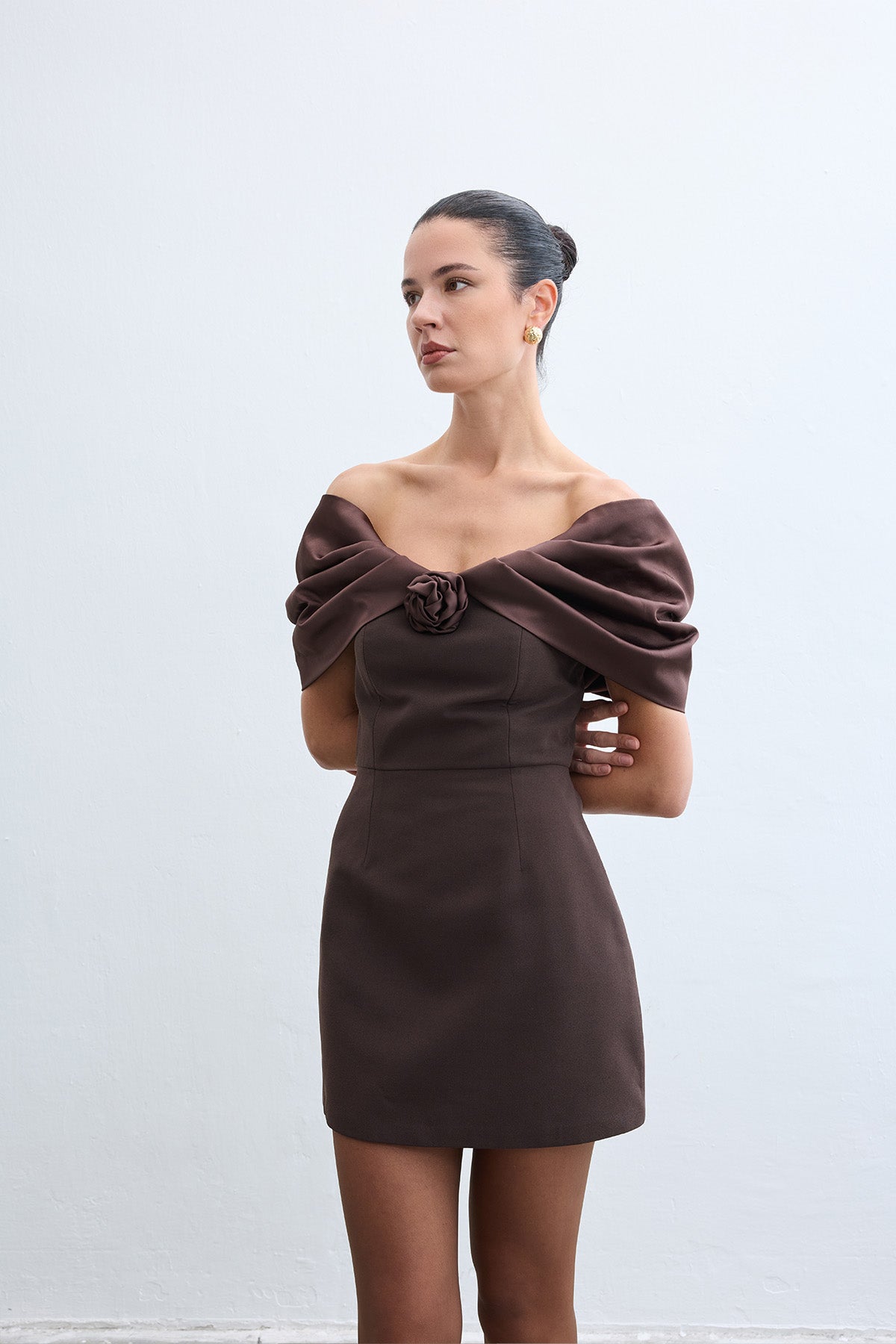 Irına Brown Dress