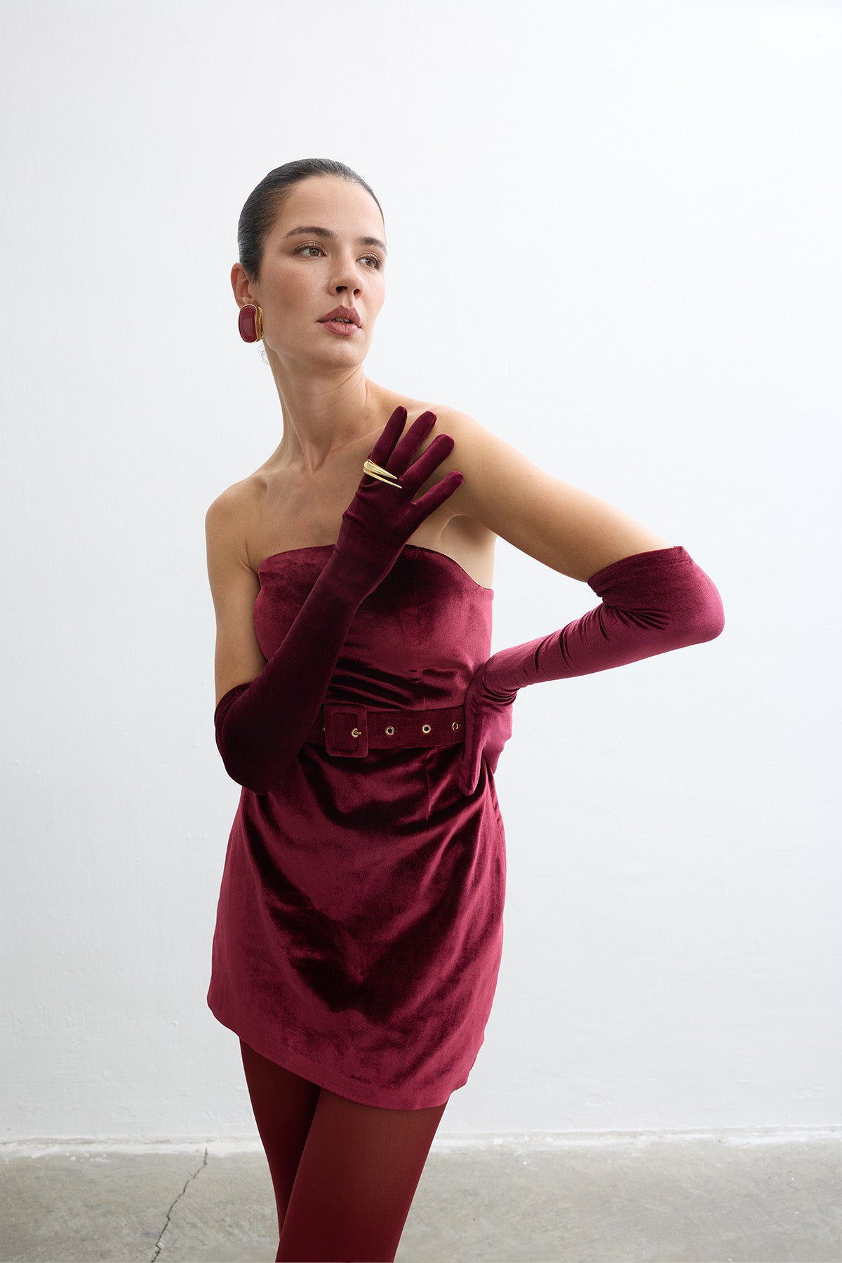Carletta Burgundy Dress
