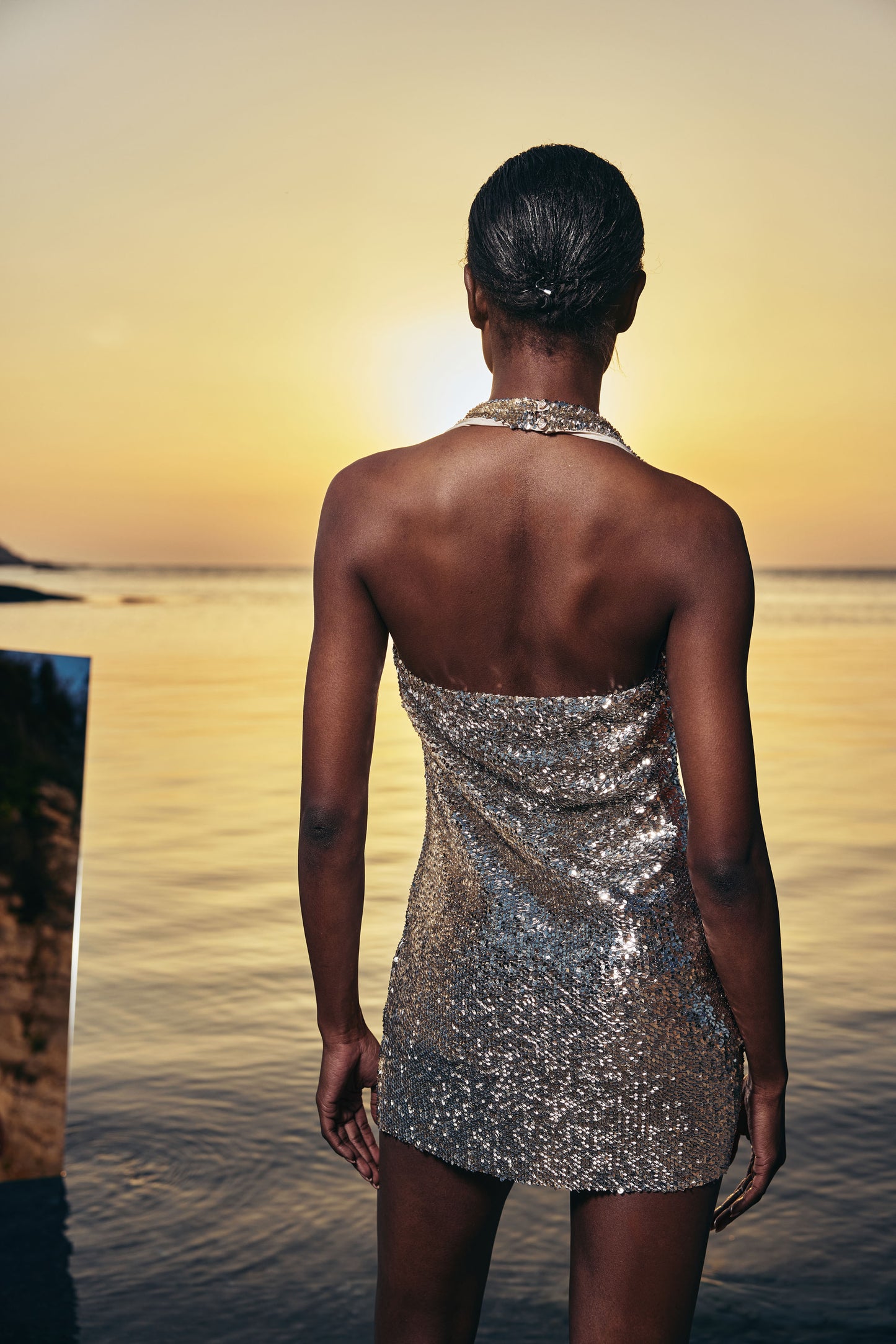 Jarre Metalic Dress