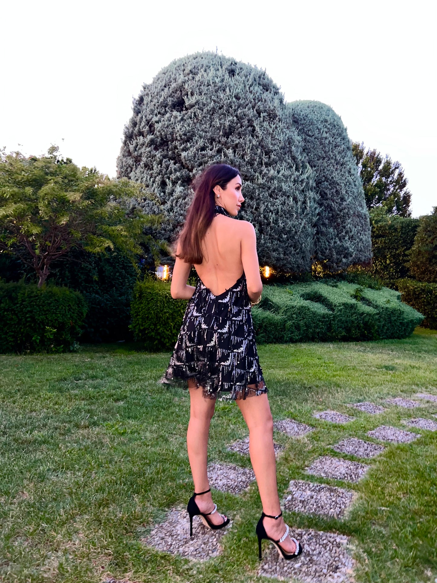 Eva Black&Silver Payetli Elbise