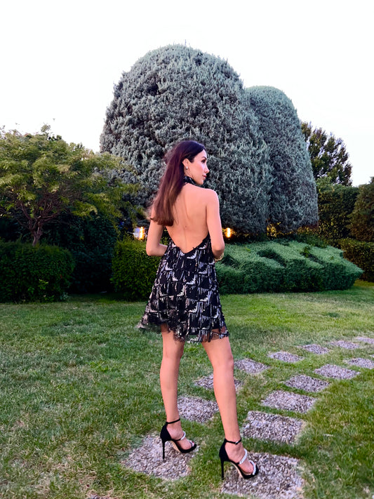 Eva Black&Silver Payetli Elbise