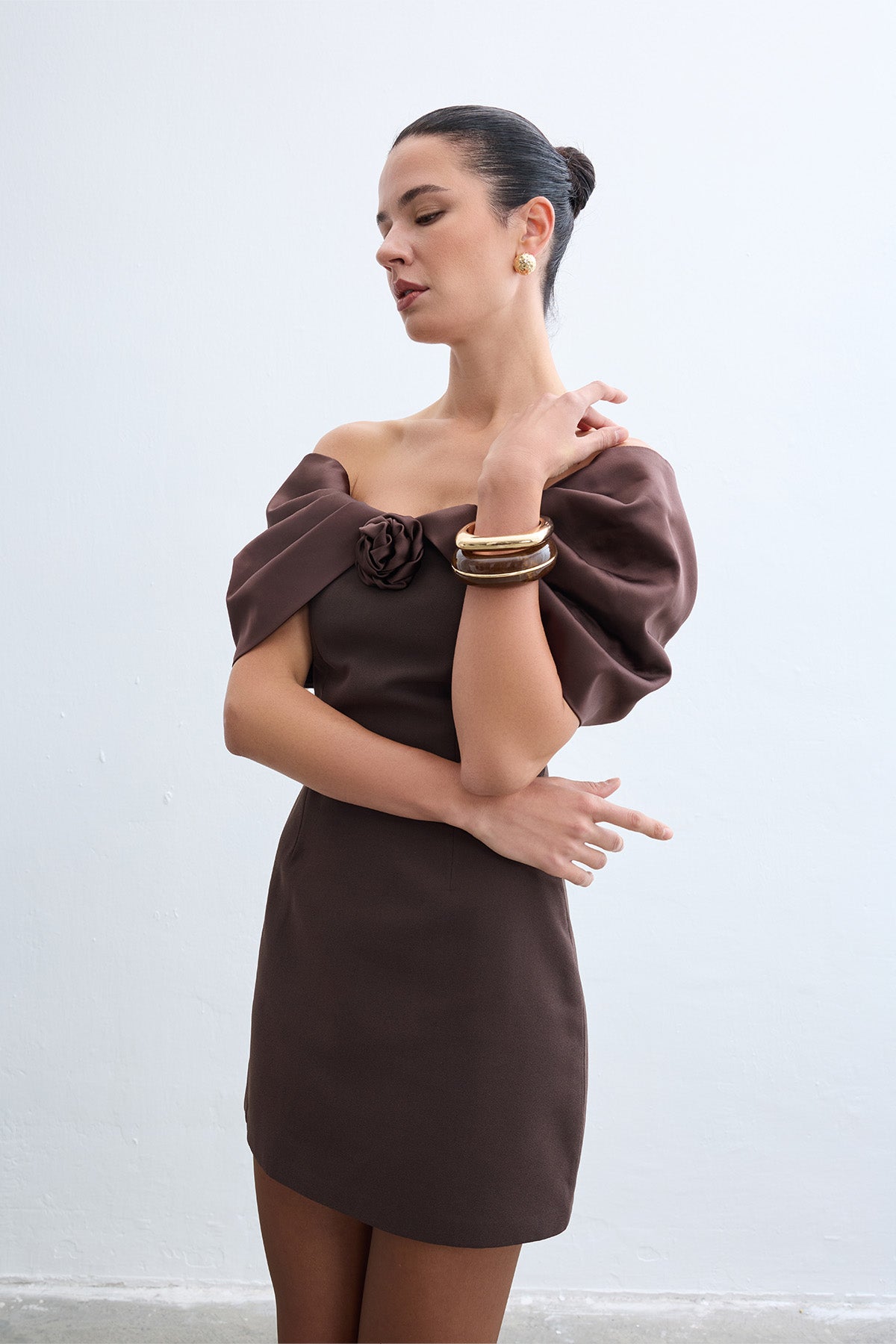 Irına Brown Dress